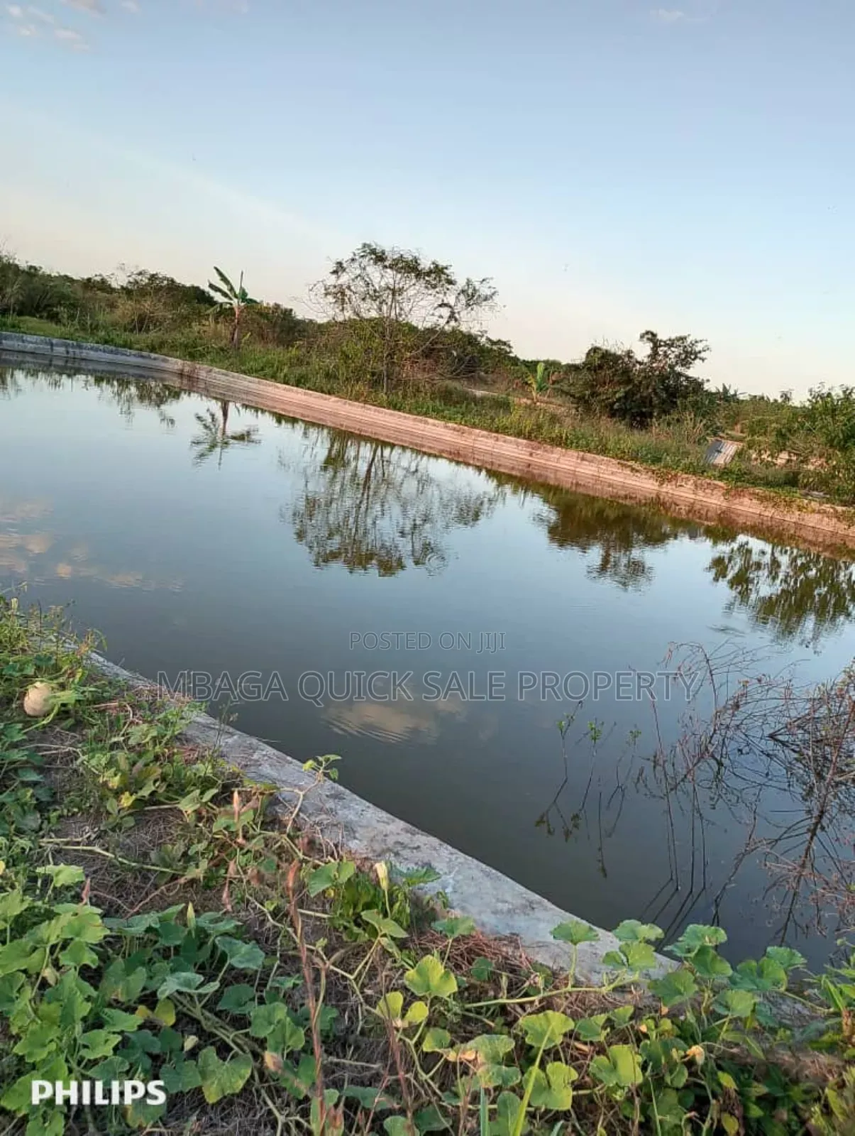 Farms With 325 Acres for Sale at Mkuranga in Mkuranga