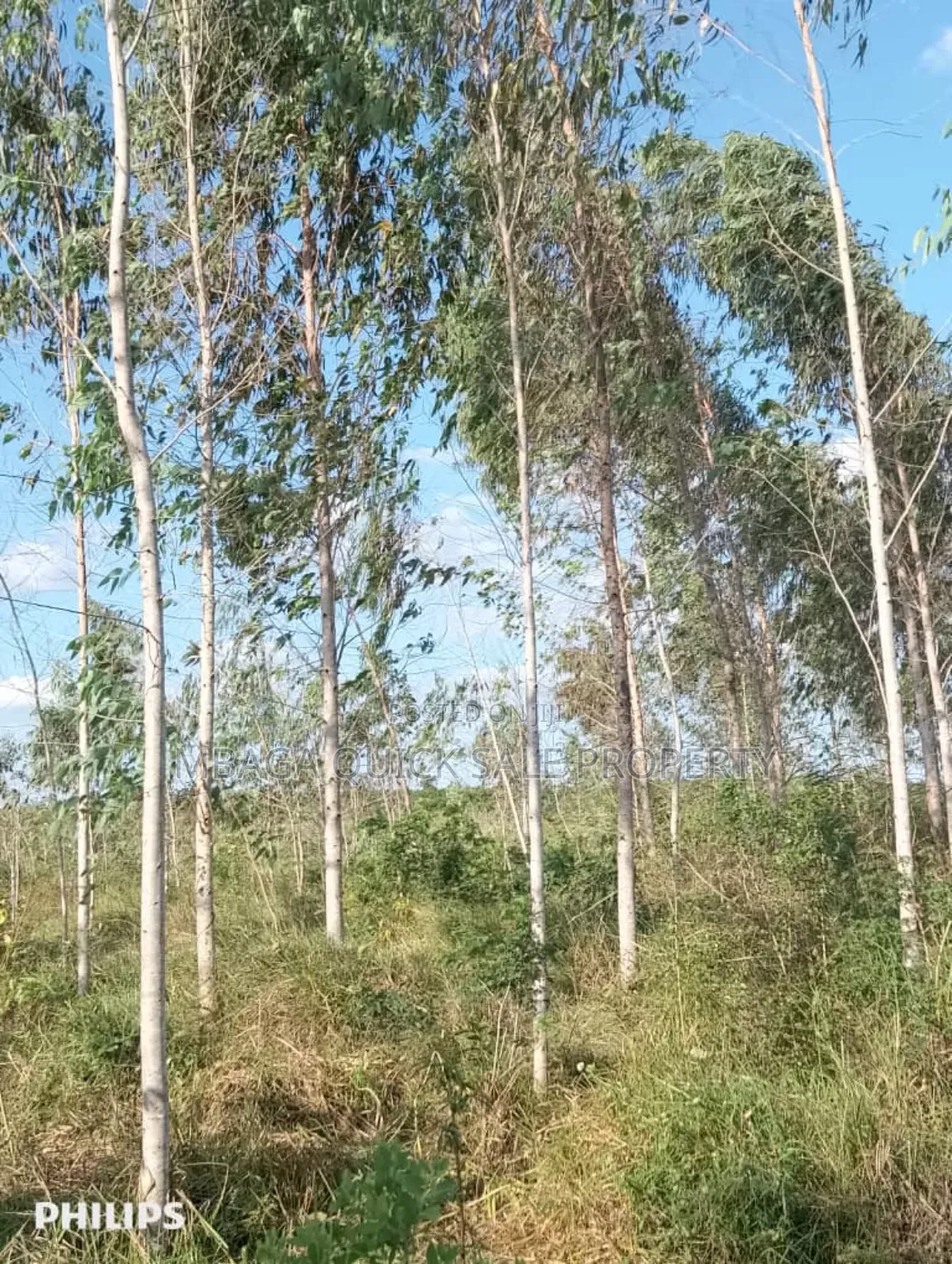 Farm 325 Acres for Sale at Mkuranga in Cluding Godown, Fish Pound in Mkuranga