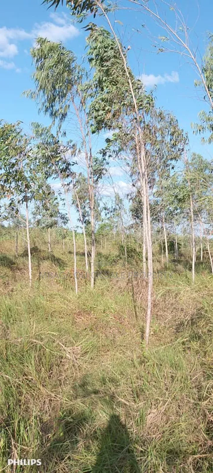 Farm 325 Acres for Sale at Mkuranga in Cluding Godown, Fish Pound in Mkuranga