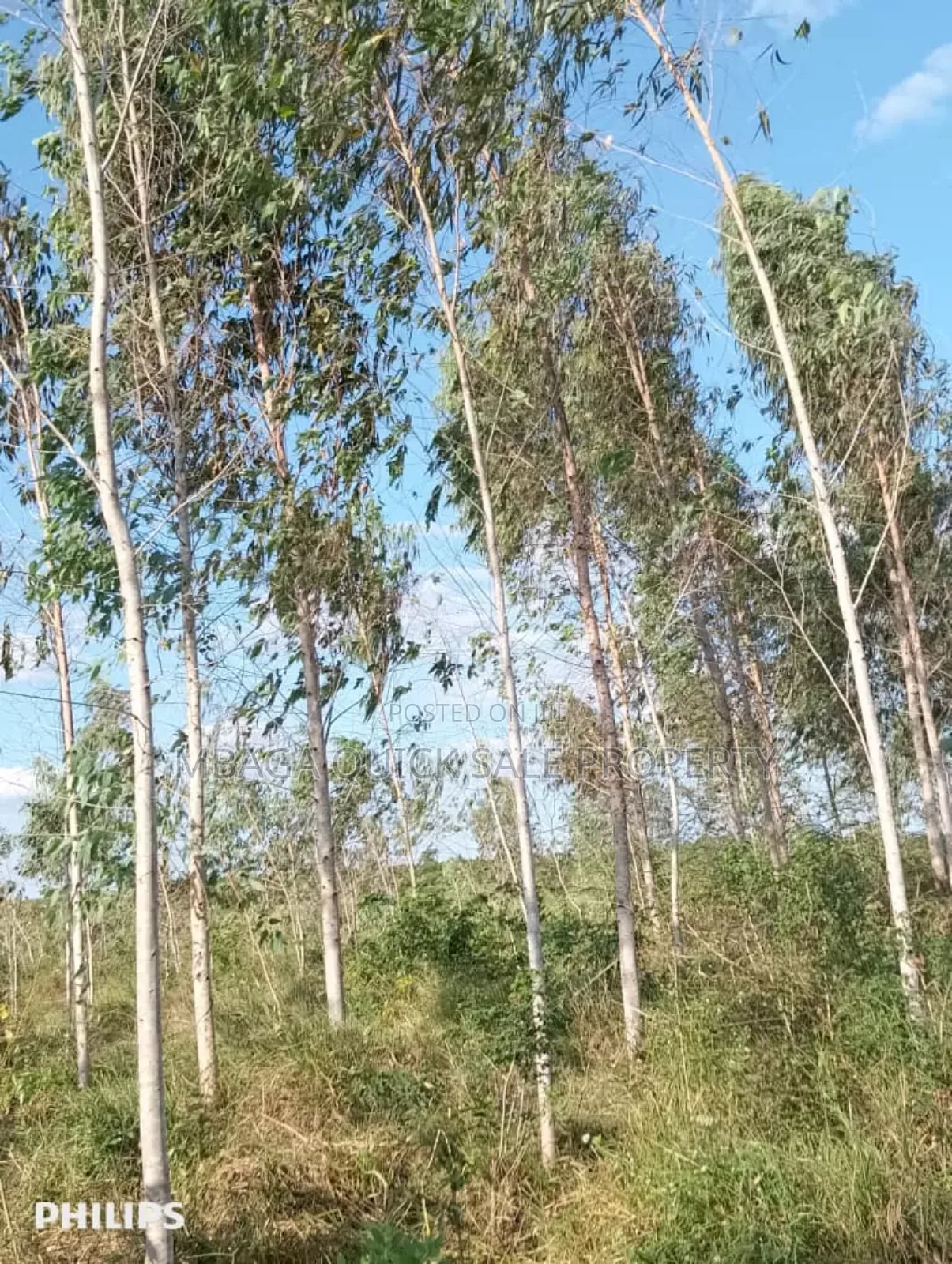 Farm 325 Acres for Sale at Mkuranga in Cluding Godown, Fish Pound in Mkuranga