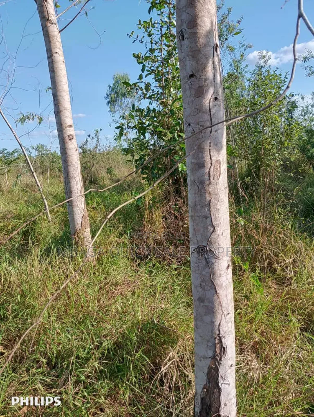 Farm 325 Acres for Sale at Mkuranga in Cluding Godown, Fish Pound in Mkuranga