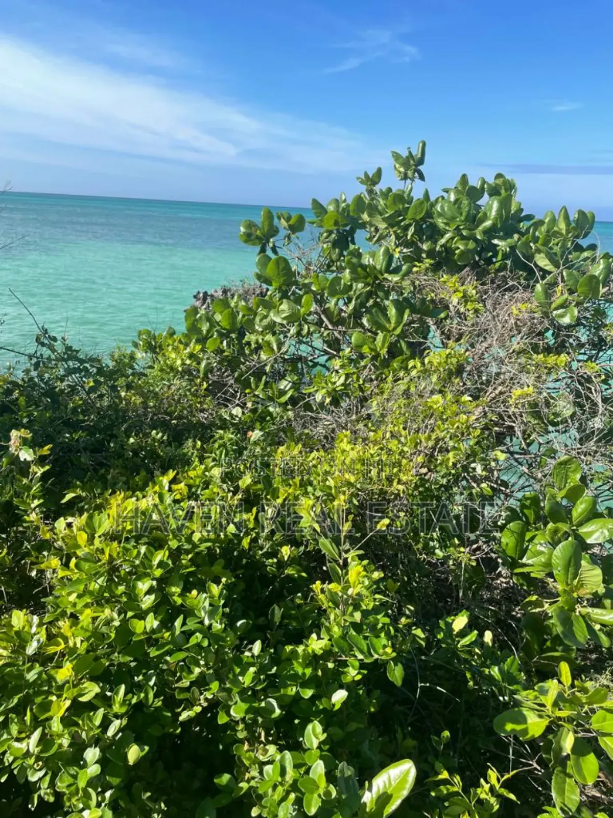 Beach Plot for Sale at Uroa Zanzibar in Unguja North