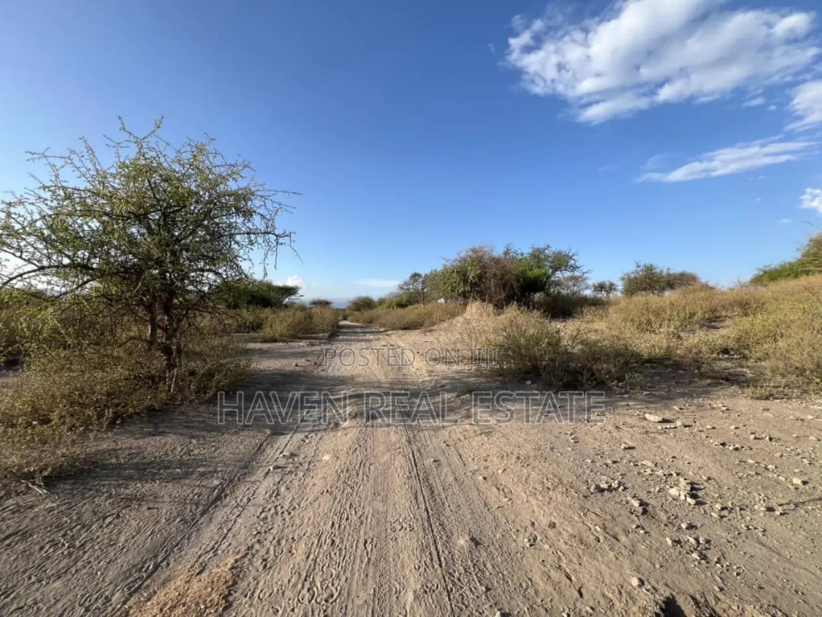 3 Acres Zenye View Ziwa Manyara Zinauzwa in Arusha