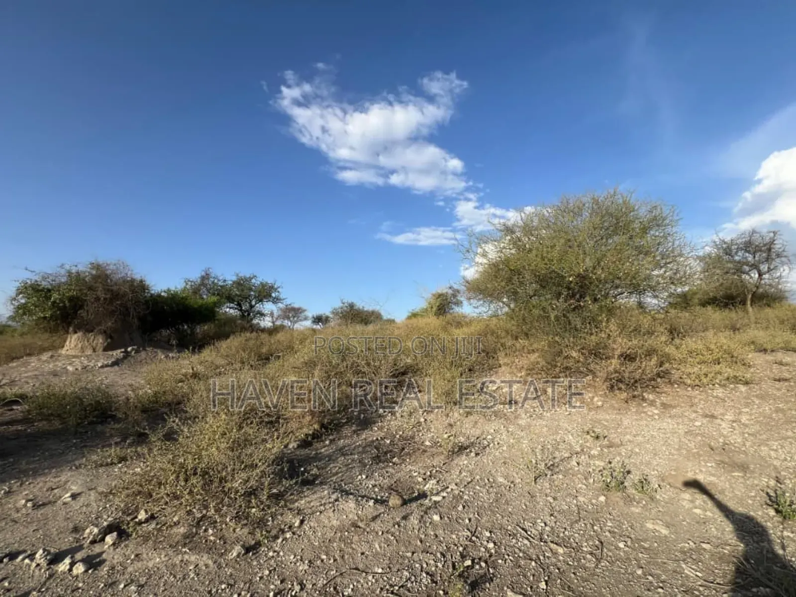 3 Acres Zenye View Ziwa Manyara Zinauzwa in Arusha