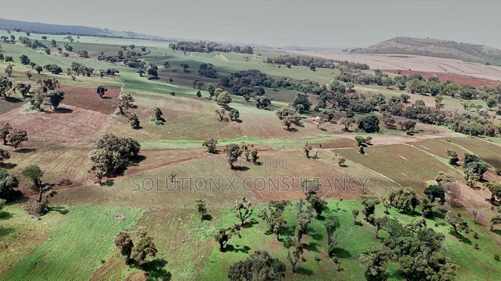 Farm for Sale at West Kilimanjaro in Siha