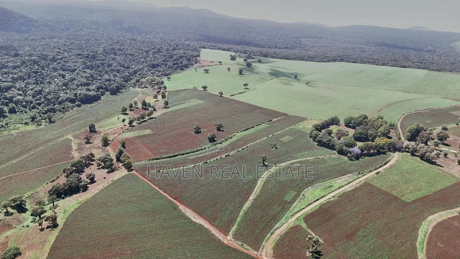 *2,000 Acres Investment Farms for Sale in Ol Molog, West Kilimanjaro* in Siha