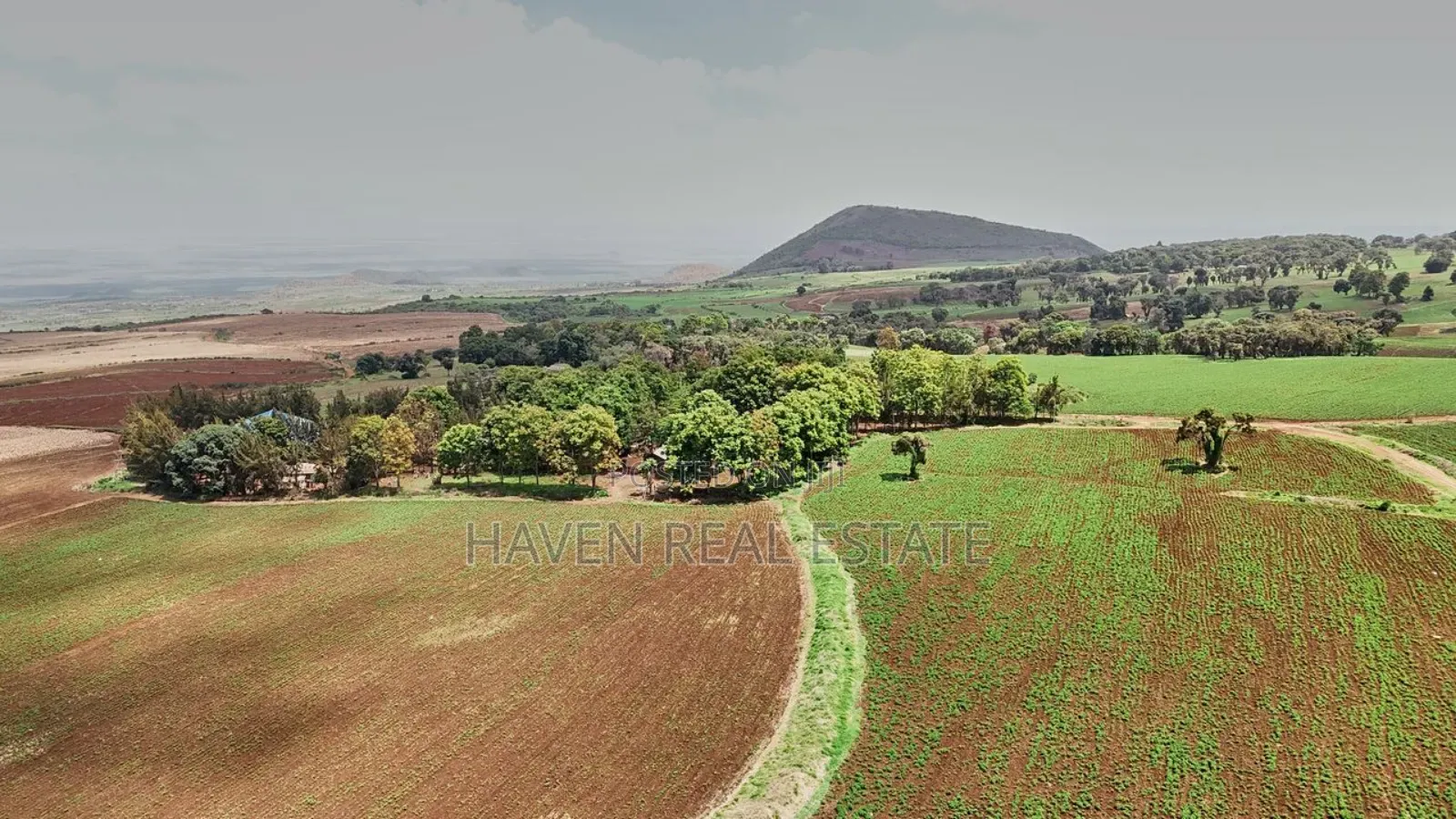 *2,000 Acres Investment Farms for Sale in Ol Molog, West Kilimanjaro* in Siha