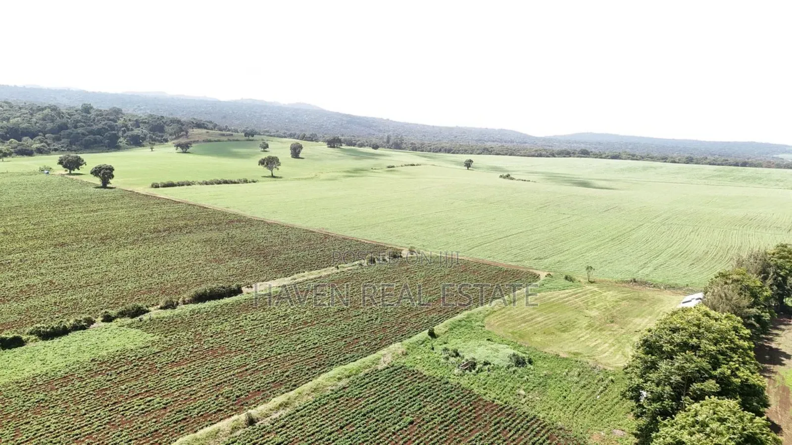 *2,000 Acres Investment Farms for Sale in Ol Molog, West Kilimanjaro* in Siha