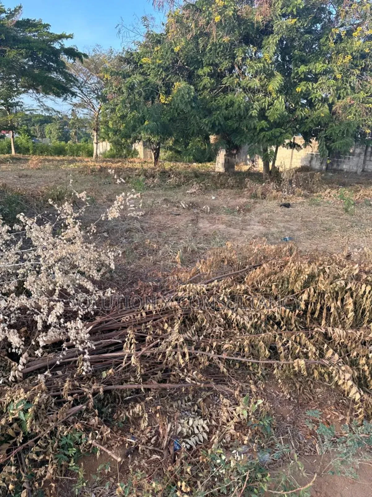 Kiwanja Kinauzwa Bunju a Karibu Na Posto Bela Resort in Bunju