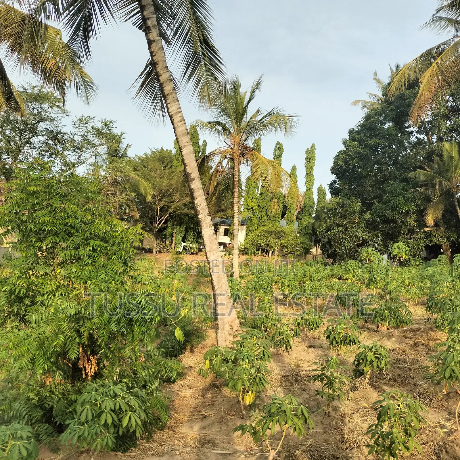 Plot /Farm/House for Sale Salasala Mwisho Wa Lami(1acre) in Kinondoni