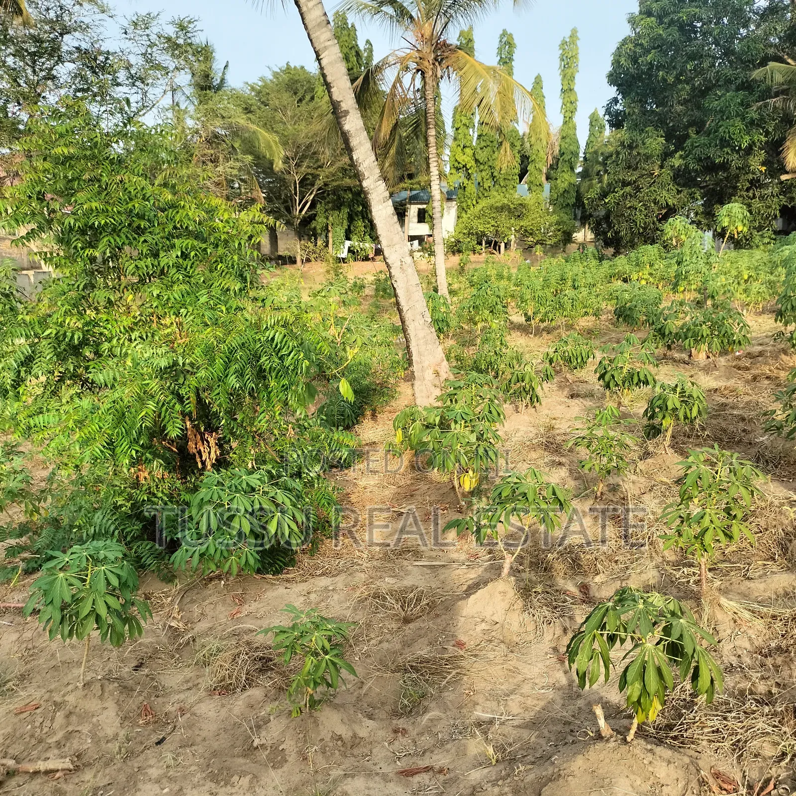 Plot /Farm/House for Sale Salasala Mwisho Wa Lami(1acre) in Kinondoni