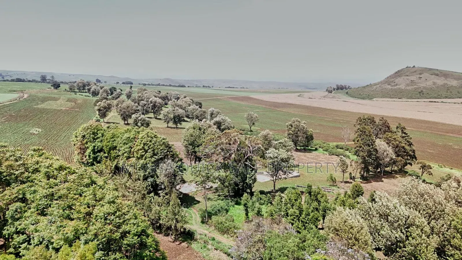 Farm 2000 Acres for Sale at Olmogol West Kilimanjaro in Moshi Rural