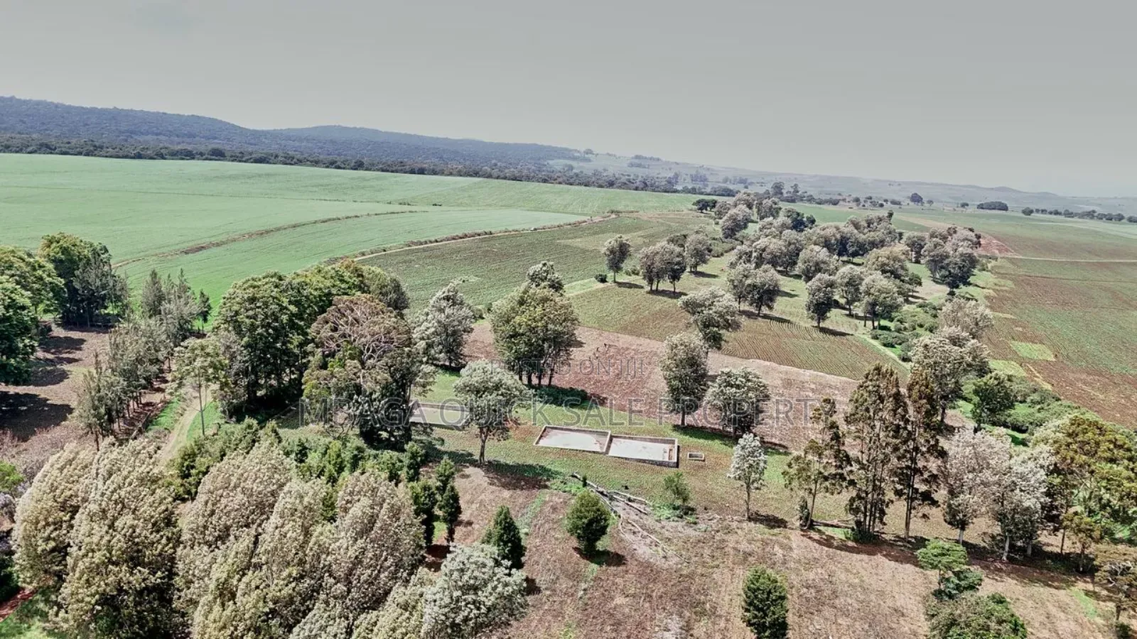 Farm 2000 Acres for Sale at Olmogol West Kilimanjaro in Moshi Rural