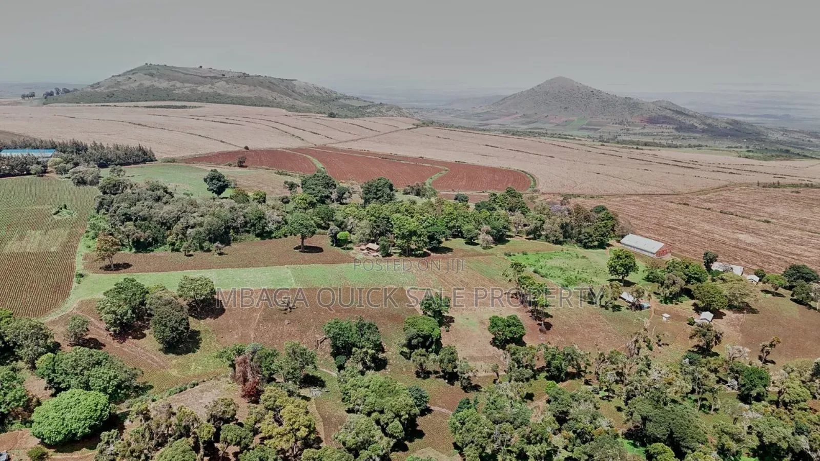 Farm 2000 Acres for Sale at Olmogol West Kilimanjaro in Moshi Rural