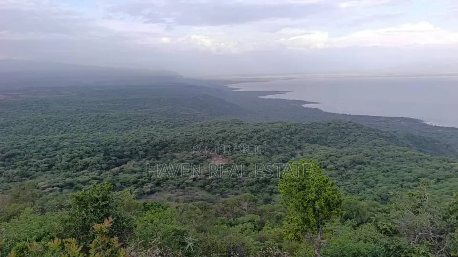 *Eneo La Ekari 100 Lenye View Ya Mbuga Manyara Na Ziwa Manyara Karatu in Babati Urban