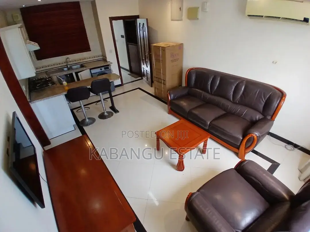 Furnished 1bdrm Apartment in Upanga for rent in Upanga East