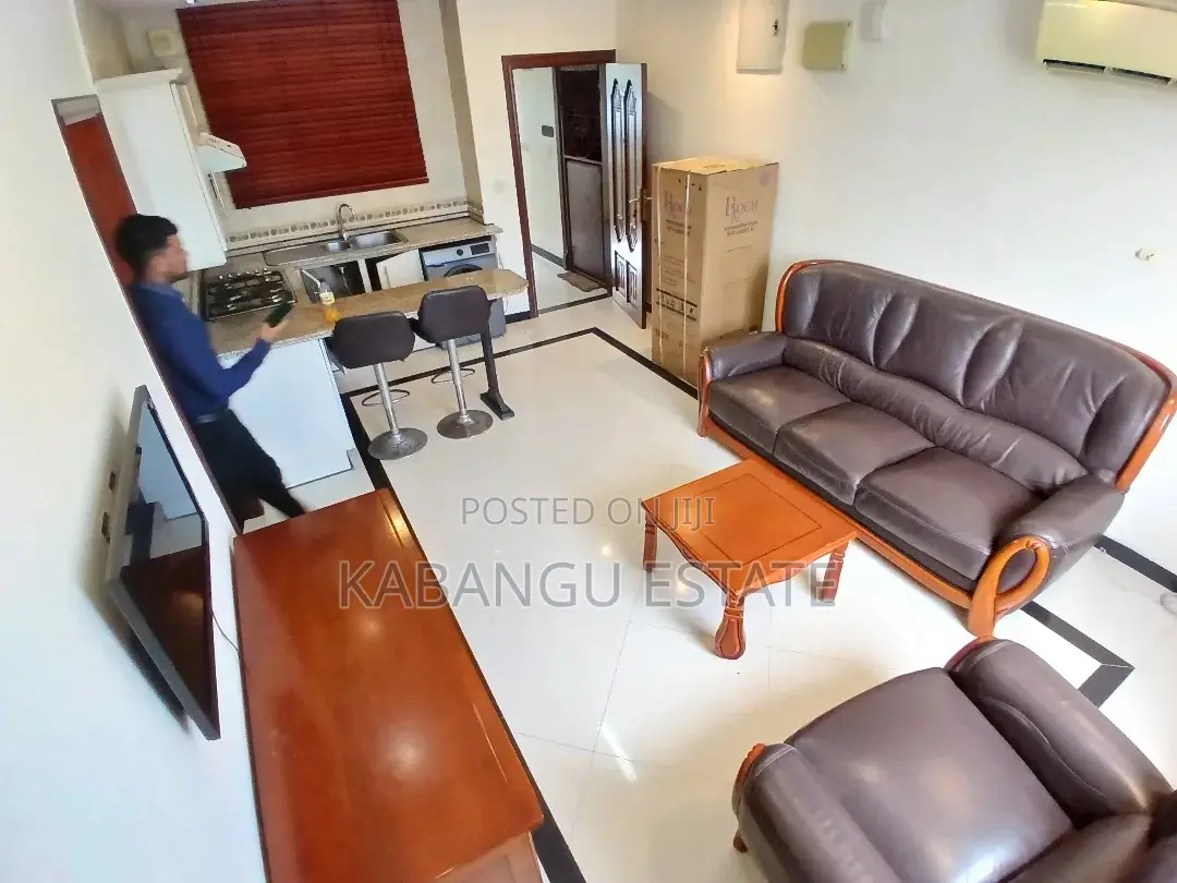 Furnished 1bdrm Apartment in Upanga for rent in Upanga East
