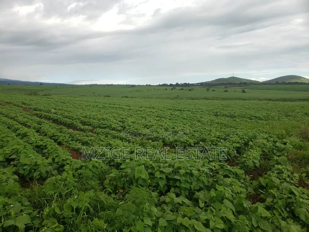 756 Acres Farm Within the Wildlife Corridor 4 Sale in West Kilimanjaro in Sanya Juu