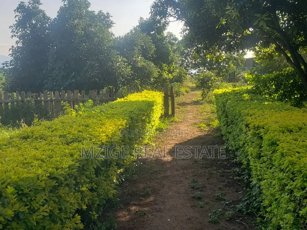 756 Acres Farm Within the Wildlife Corridor 4 Sale in West Kilimanjaro in Sanya Juu