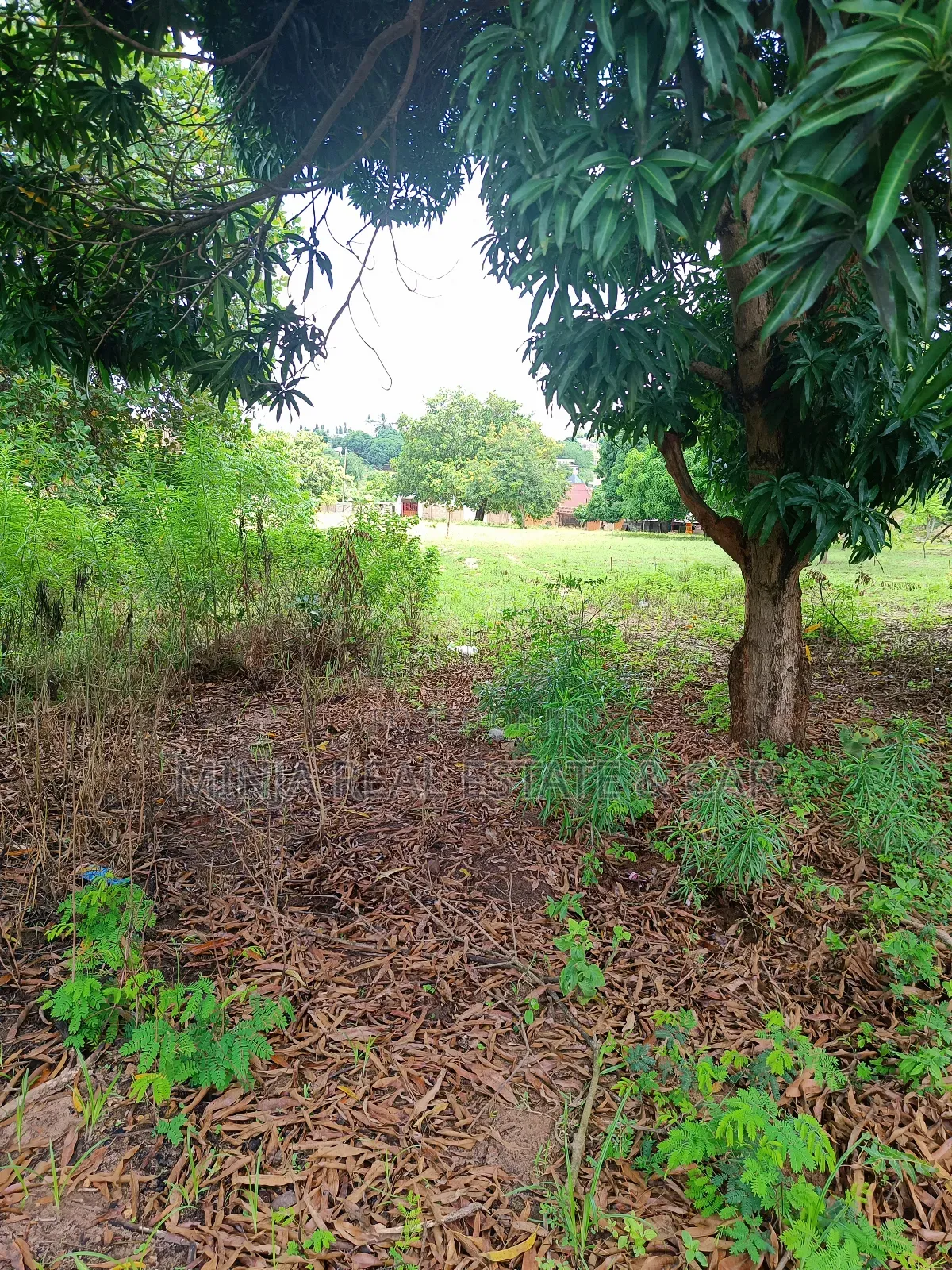 Yard/Warehouse Plot for Sale Toangoma Kigamboni in Kigamboni