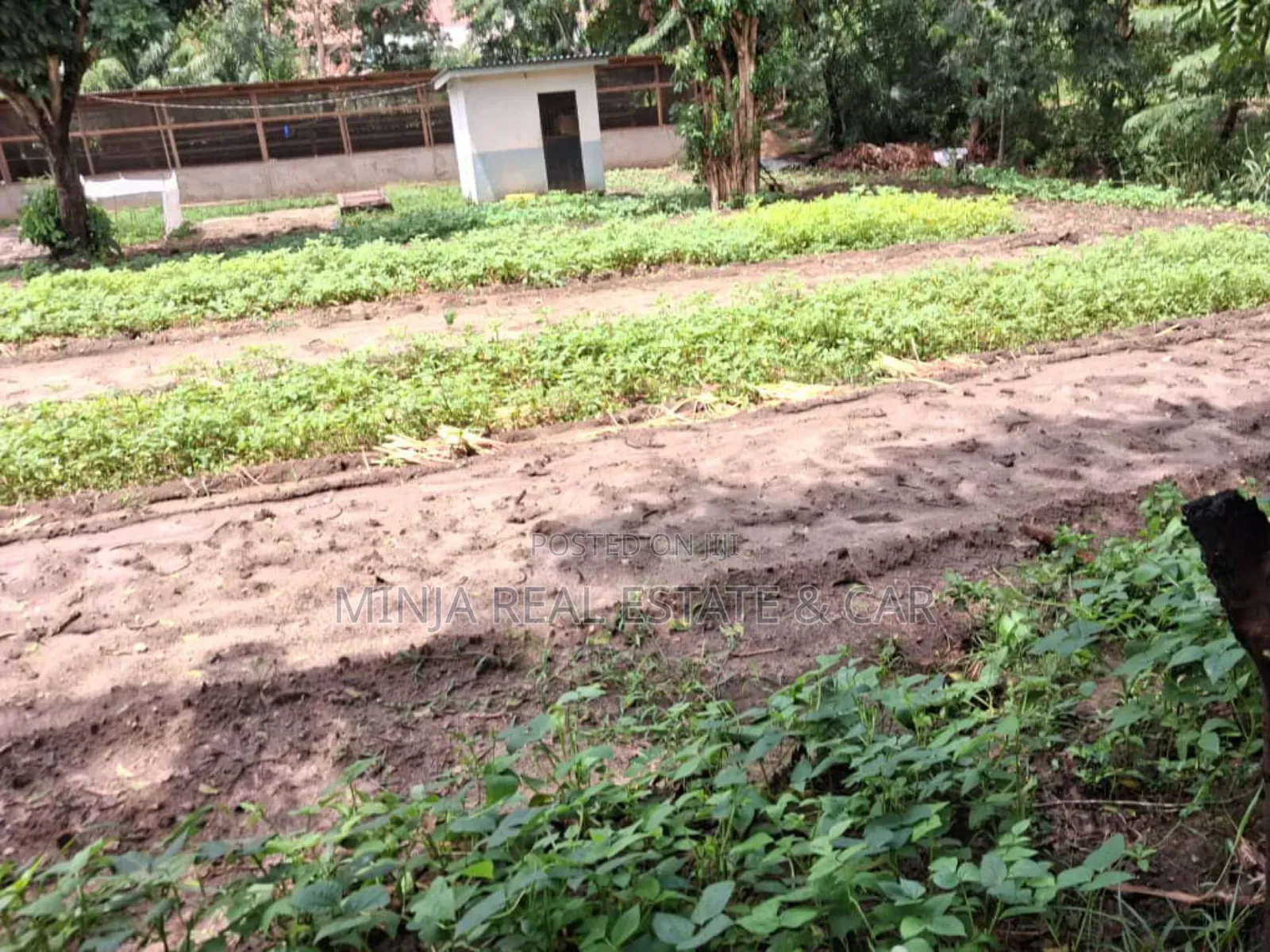 Kiwanja Kinauzwa Kwa Mnada Bei Nzuri Sana Goba Njia Nne in Goba