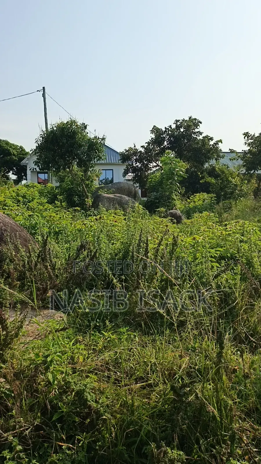 Plot for Sale Ilemela Mwanza in Ilemela