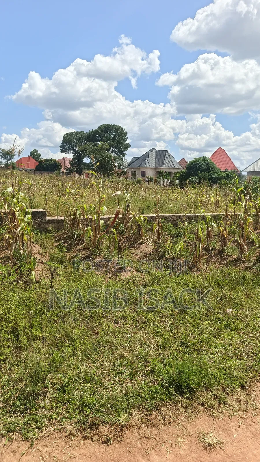 Plot for Sale 1500 Square Meters in Ilemela