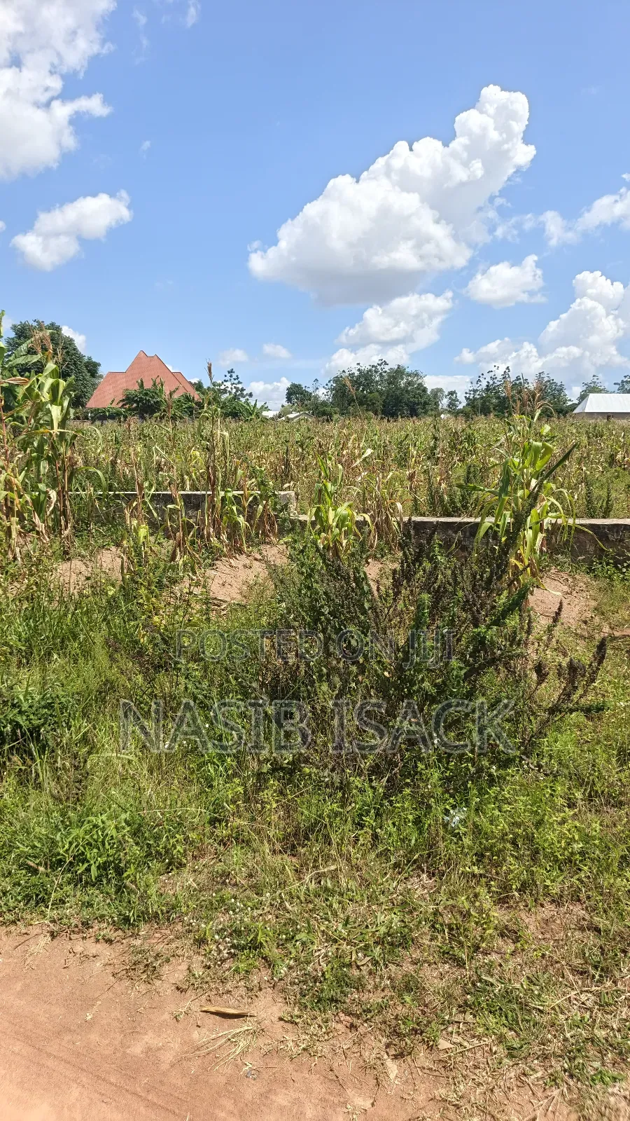Plot for Sale 1500 Square Meters in Ilemela