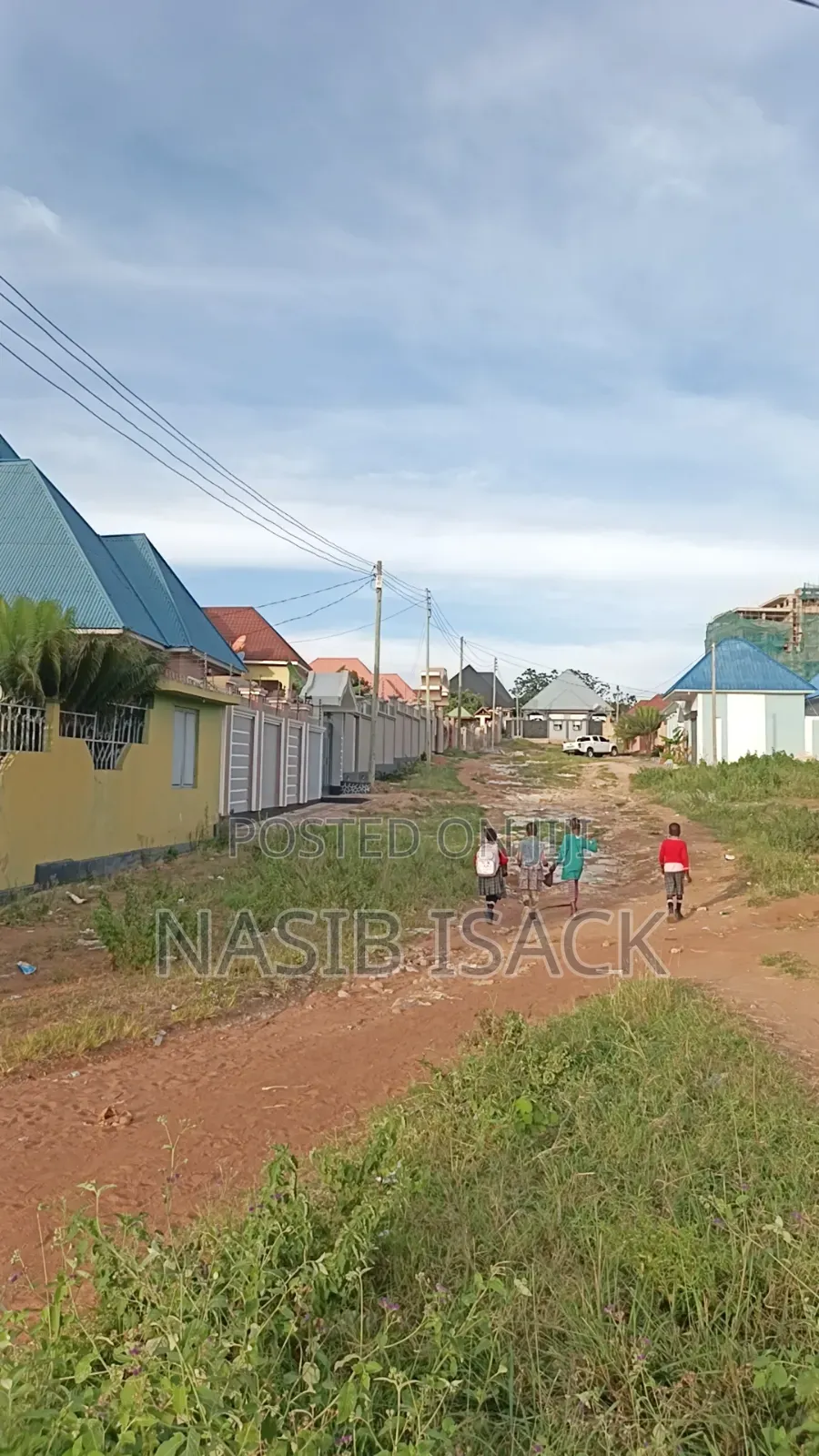 Furnished 4bdrm House in Nyasaka for sale in Nyasaka
