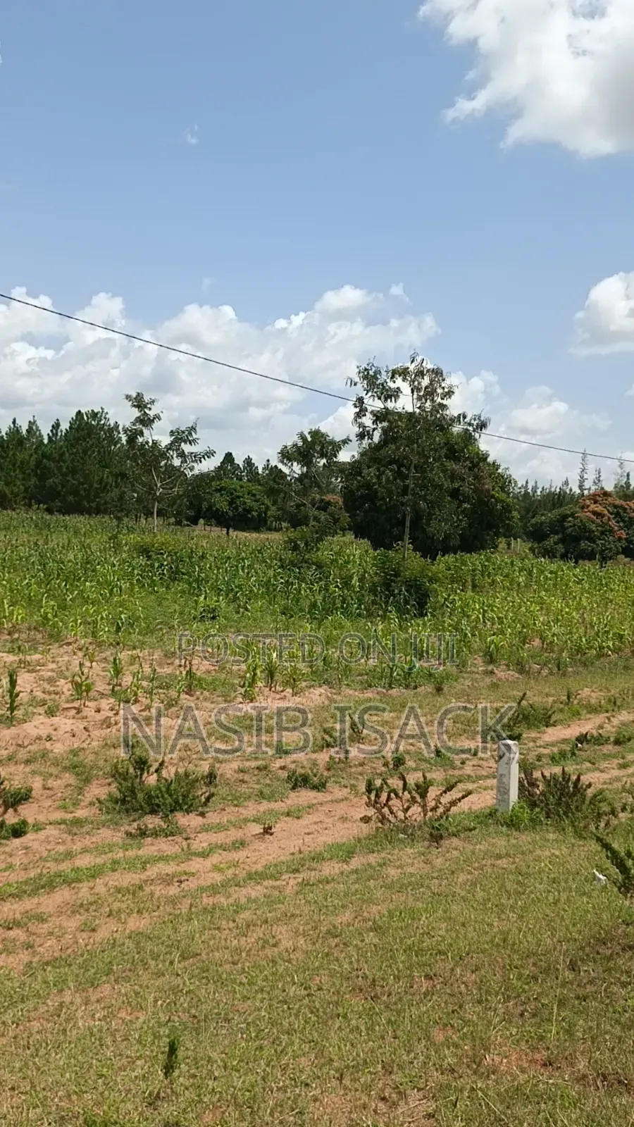Plot for Sale in Usagara