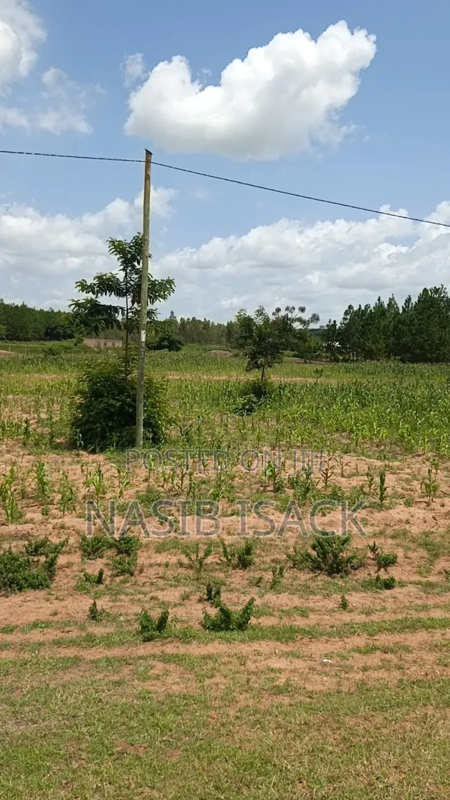 Plot for Sale Mwanza Usagara in Fella