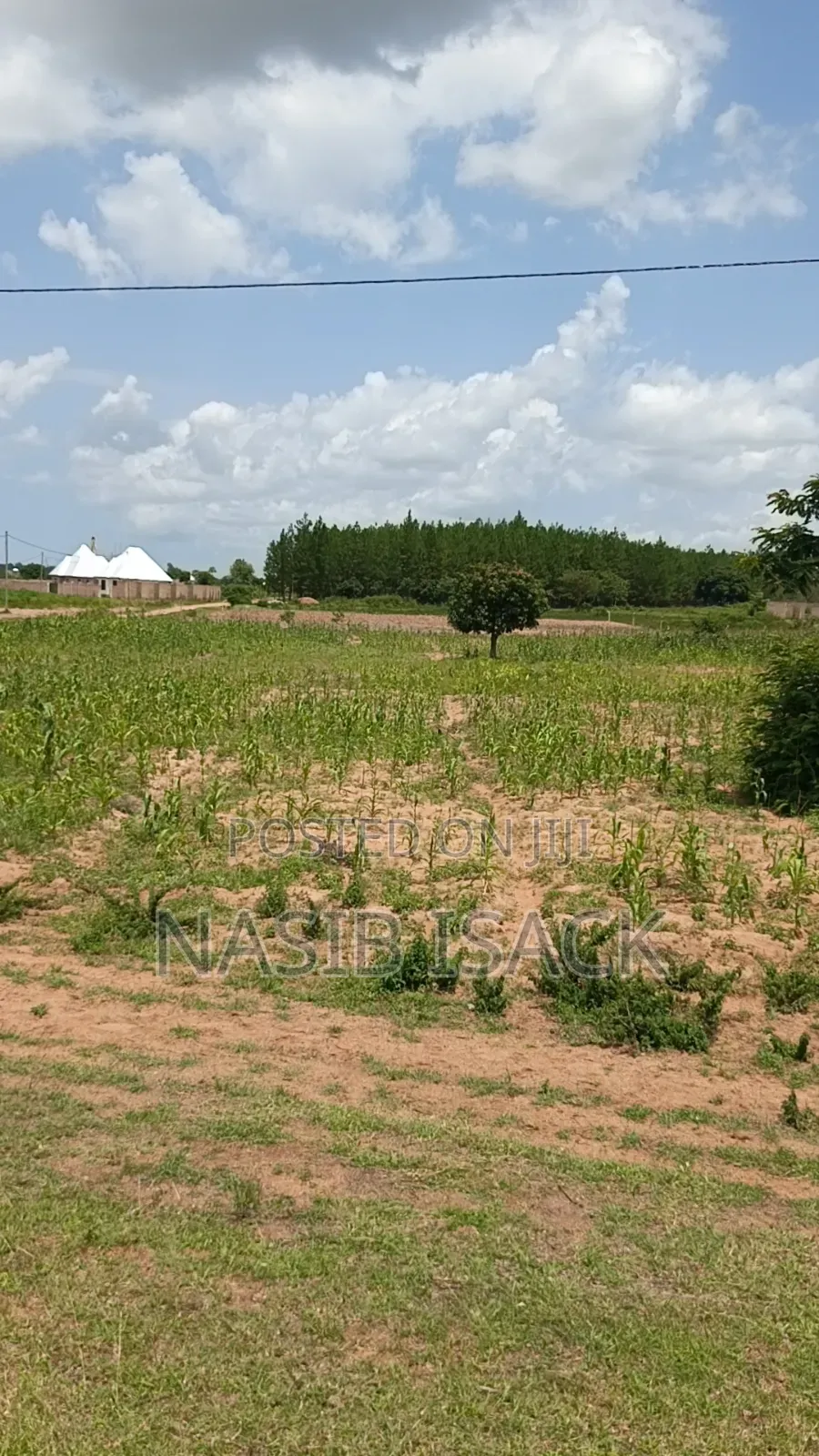 Plot for Sale Mwanza Usagara in Fella