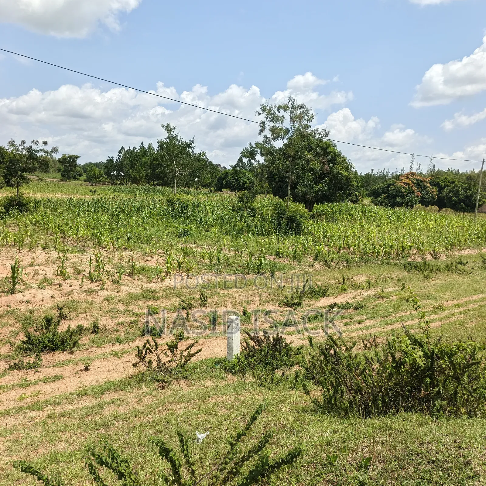 Plot for Sale Mwanza Usagara in Fella
