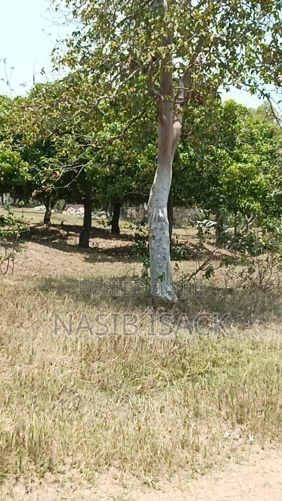 Plot for Sale Mwaza Square Meter in Kiseke