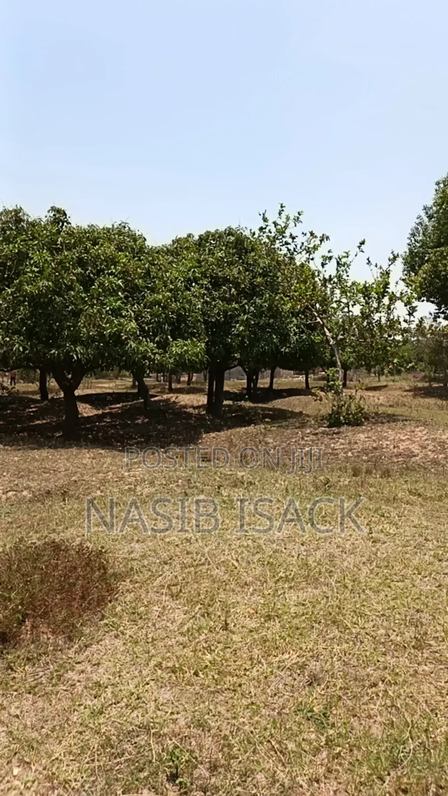Plot for Sale Mwaza Square Meter in Kiseke