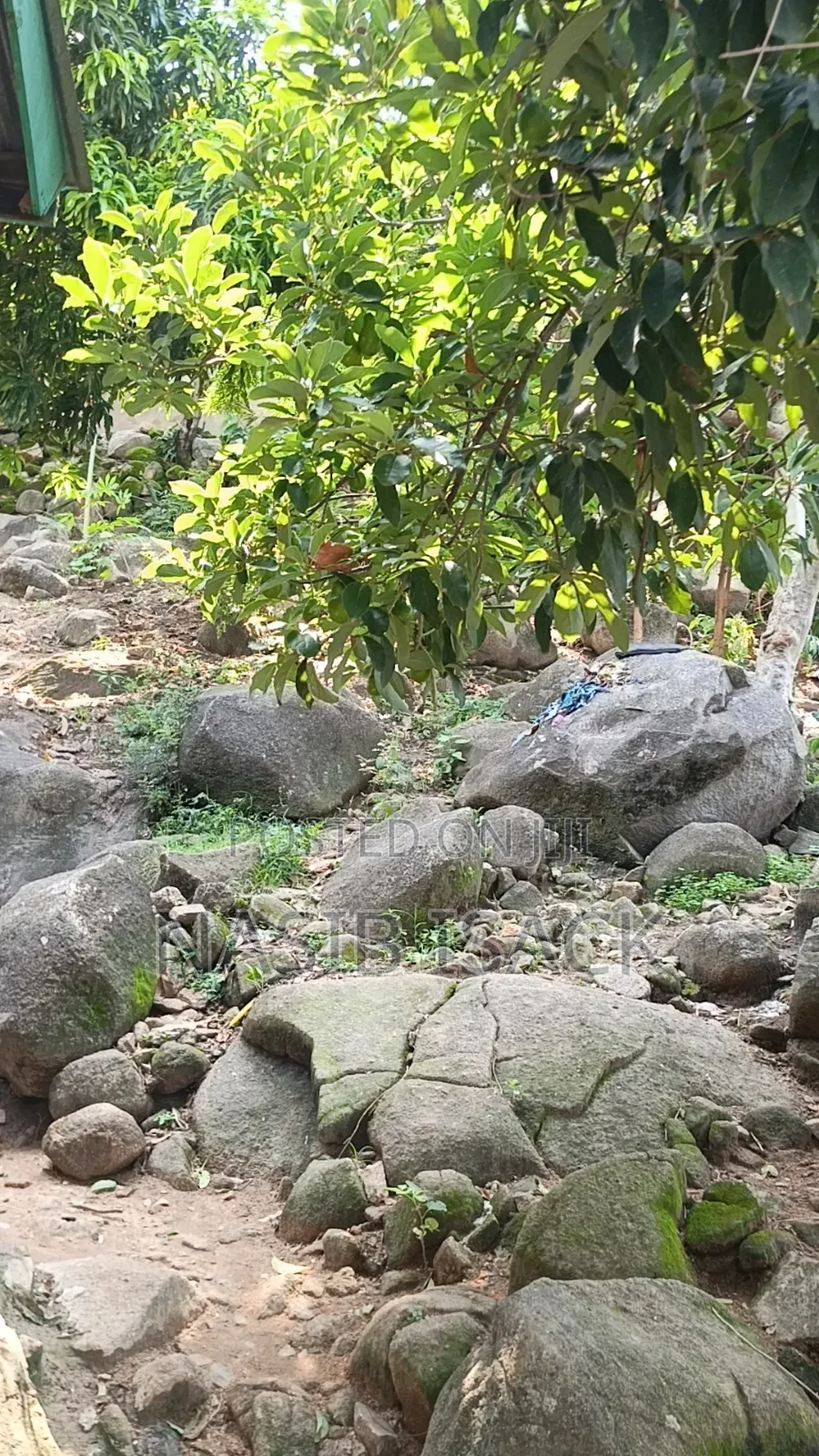 Plot for Sale Ilemela Airport Mwanza in Ilemela