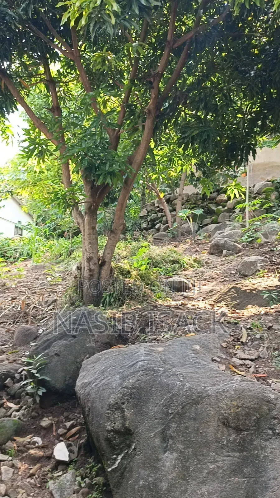 Plot for Sale Ilemela Airport Mwanza in Ilemela