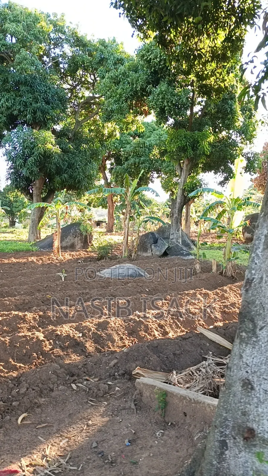 Plot for Sale Bwiru Ziwani in Ilemela