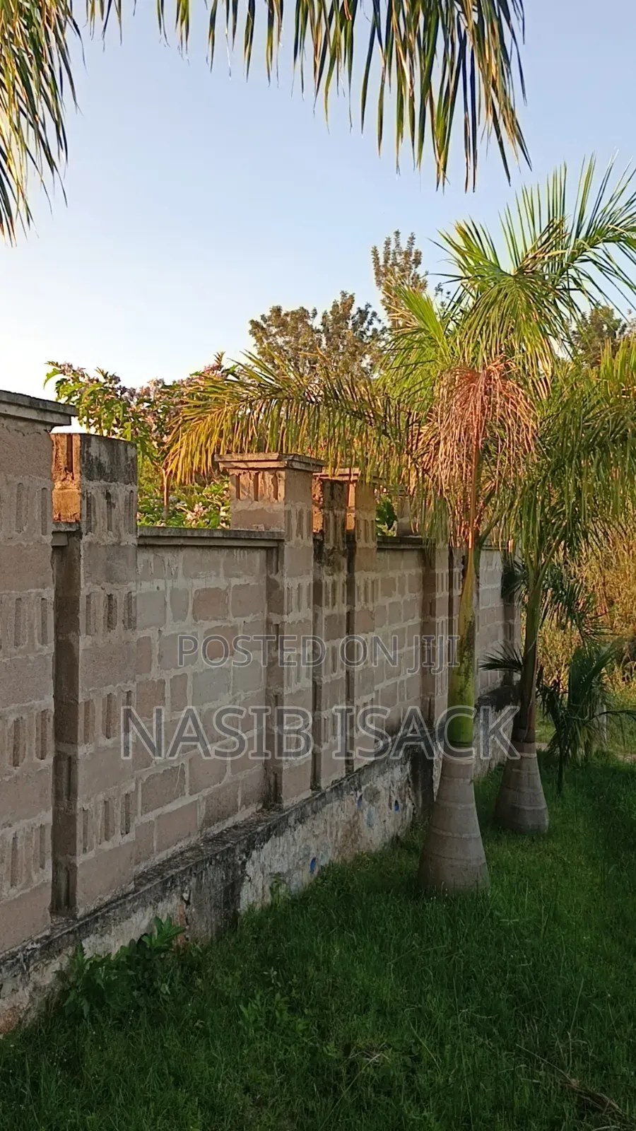 Plot for Sale in Ilemela