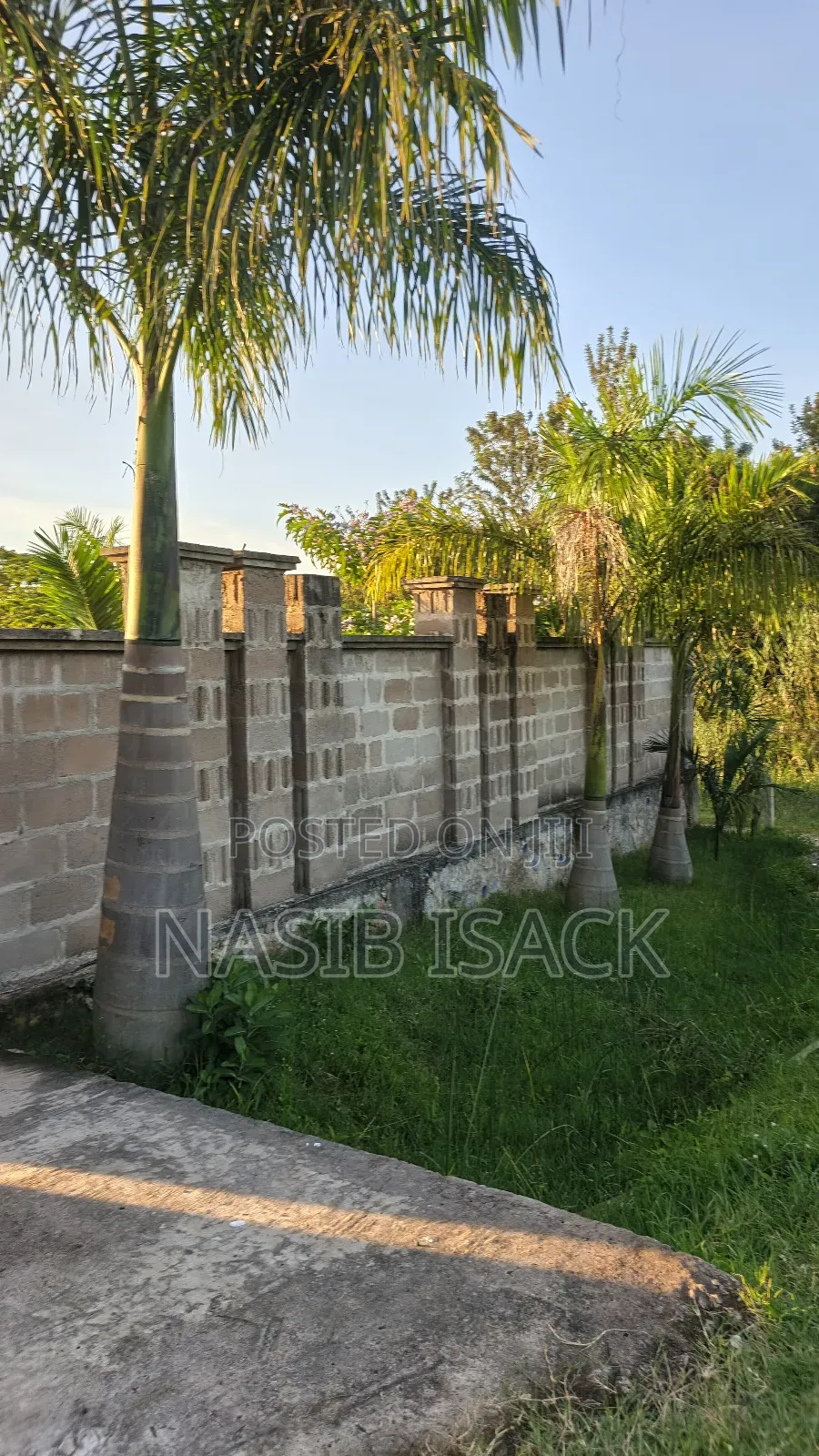 Plot for Sale in Ilemela