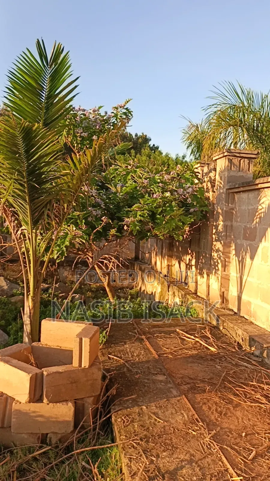 Plot for Sale in Ilemela