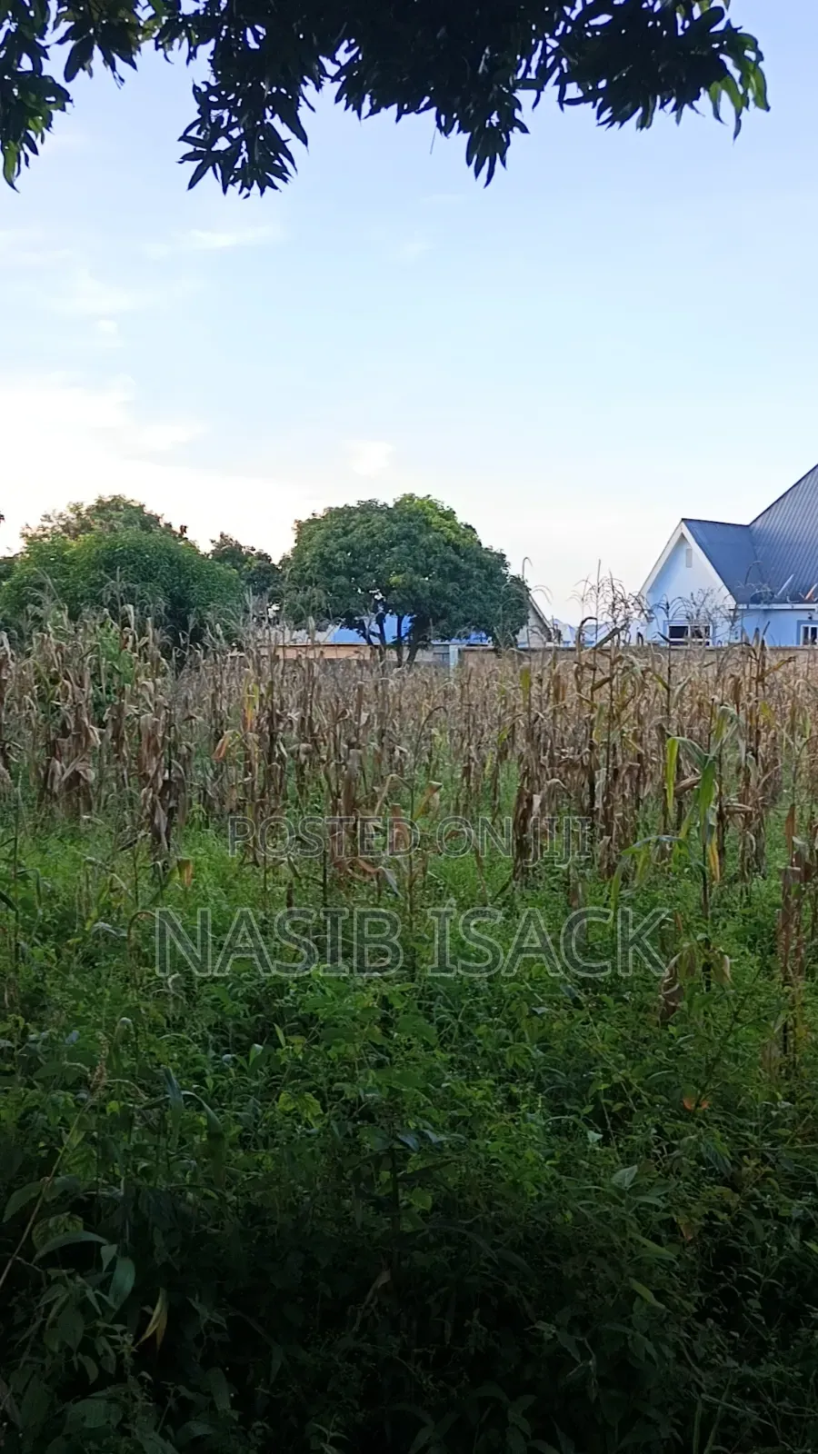Plot for Sale in Ilemela
