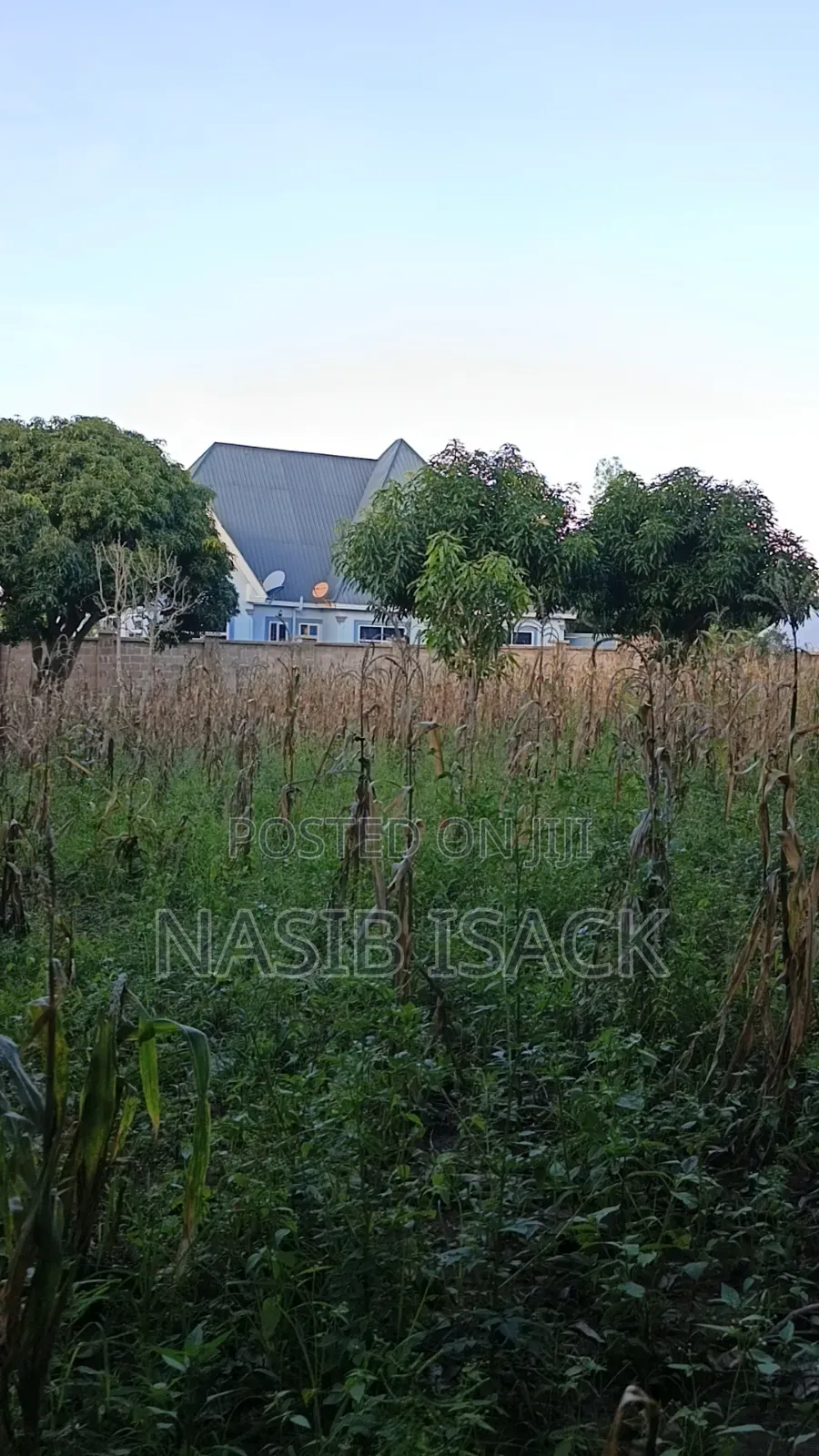 Plot for Sale in Ilemela