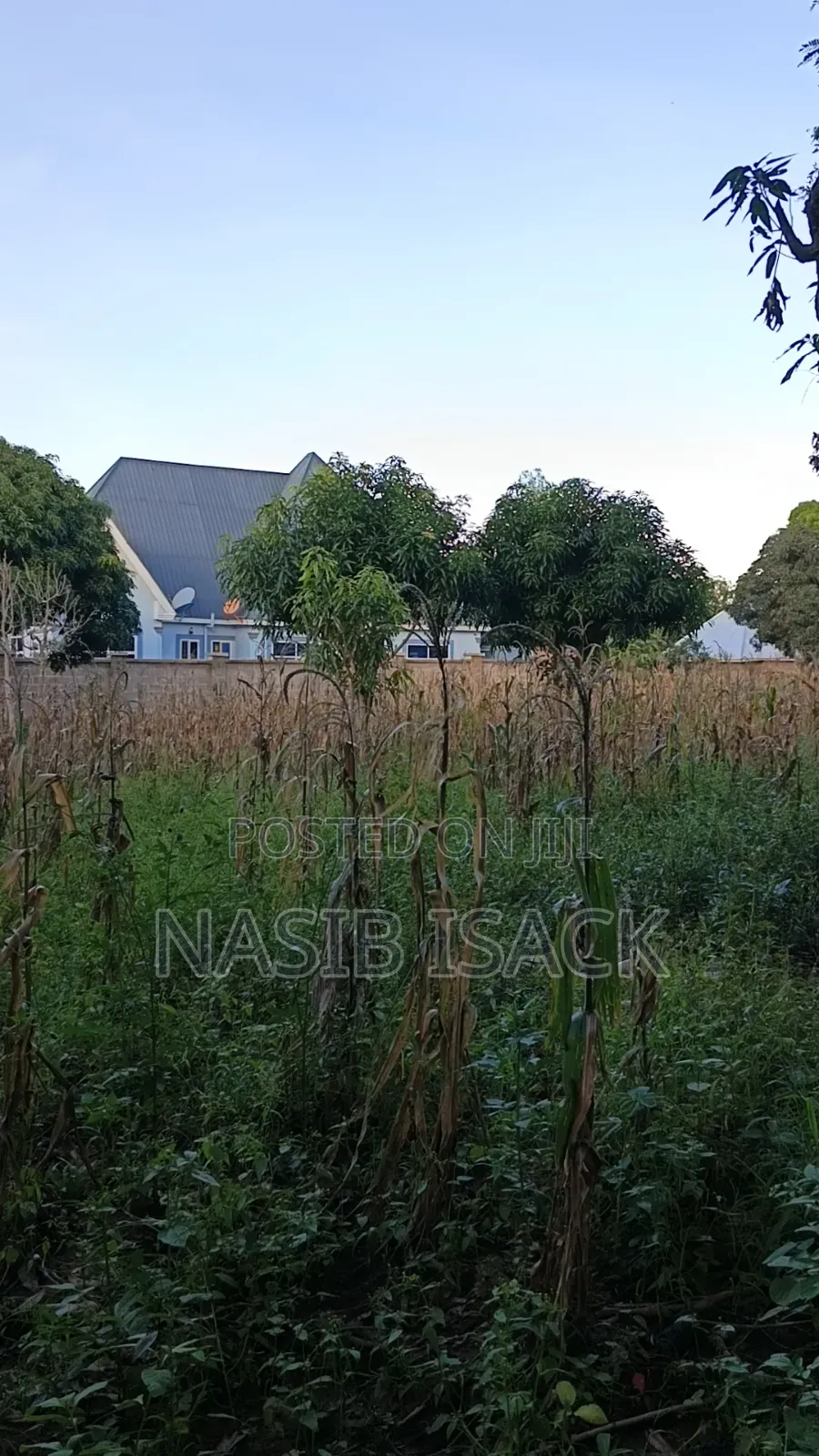 Plot for Sale in Ilemela