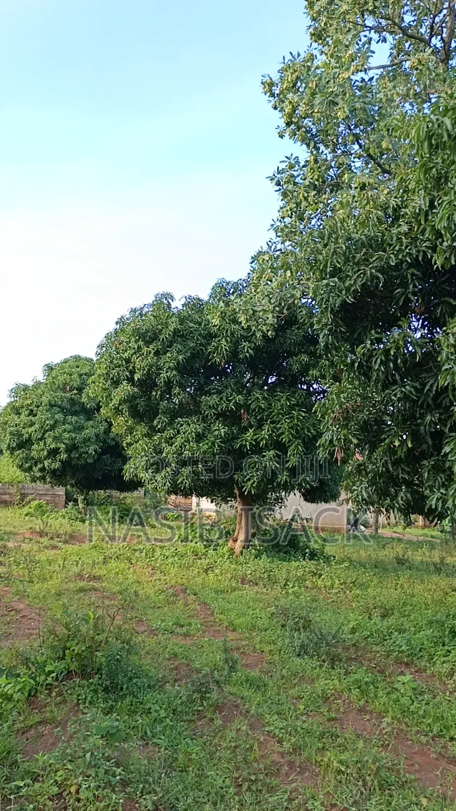 Plot for Sale in Ilemela