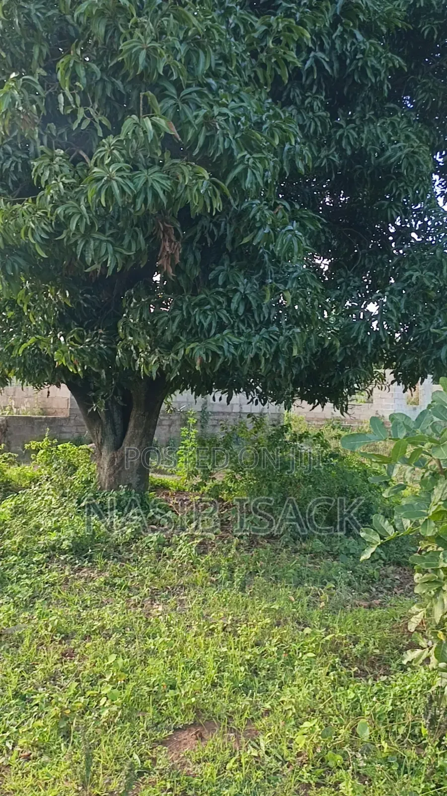 Plot for Sale in Ilemela
