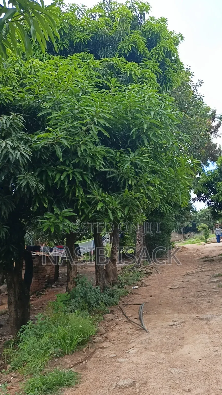 Plot for Sale Mwanza Kiseke in Kiseke