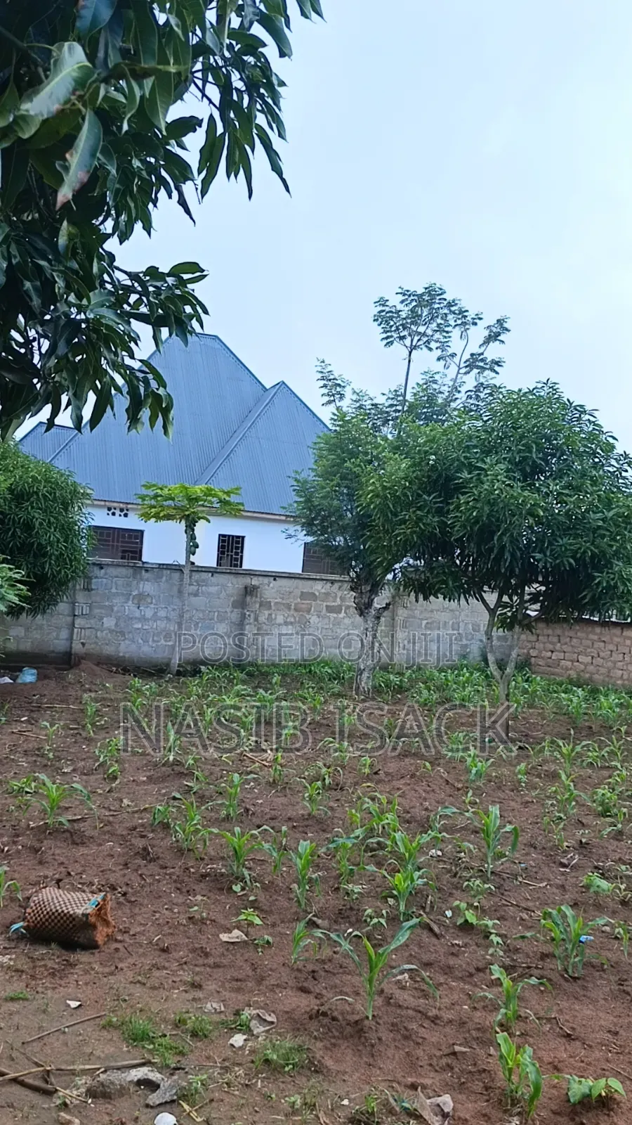 Plot for Sale Mwanza Nyamhogoro in Kiseke