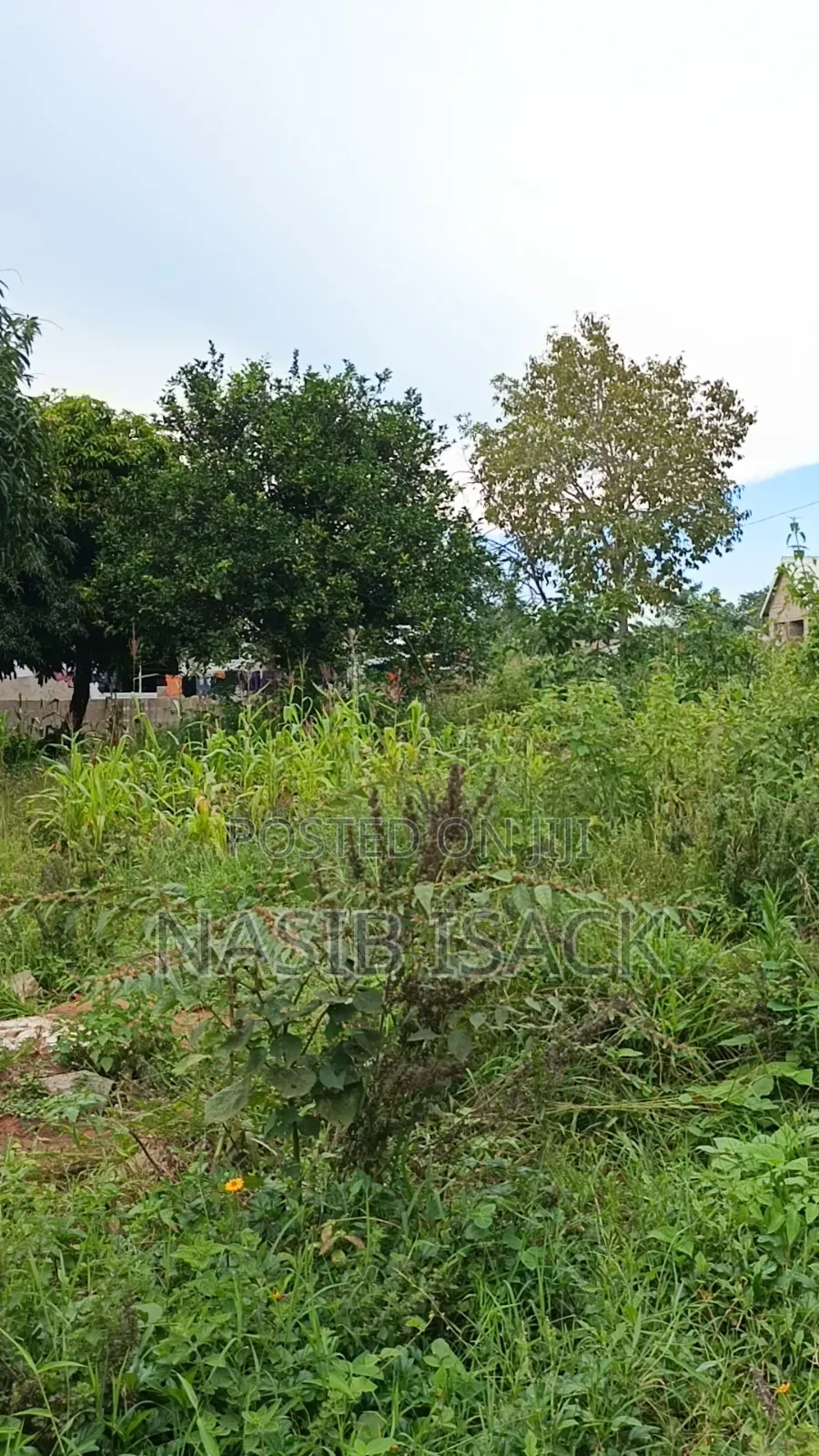 Plot for Sale in Kiseke