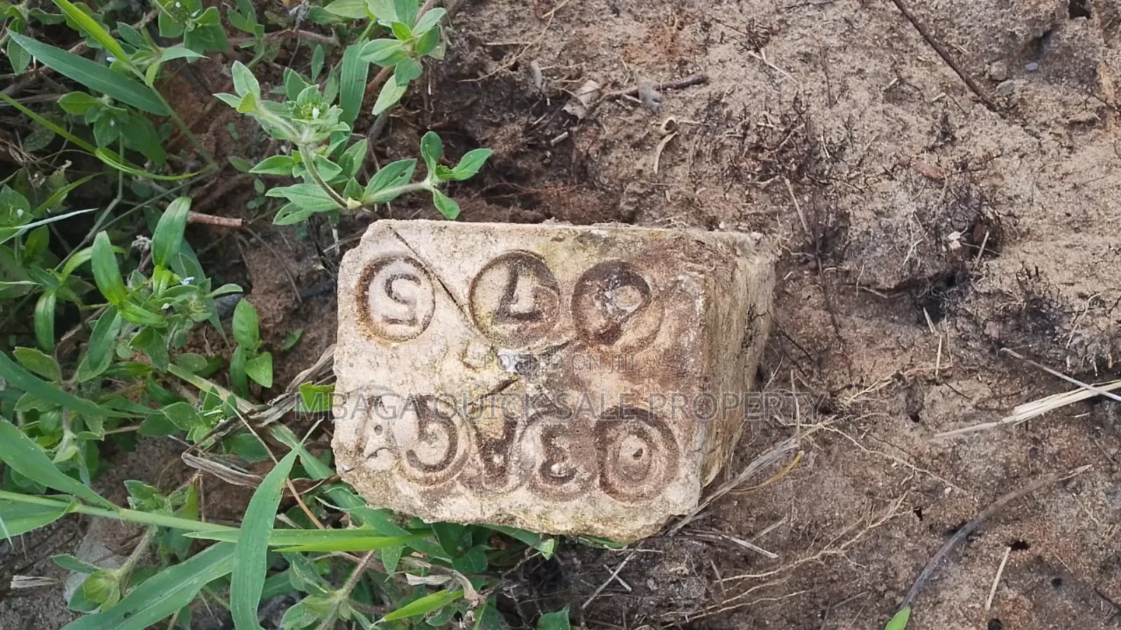 Plot for Sale at Madale Mbopo Shule in Goba